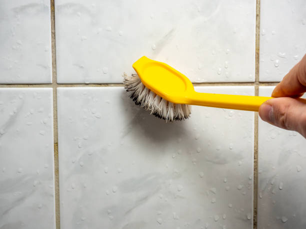 Trusted Manchester, VA Mold Remediation Experts